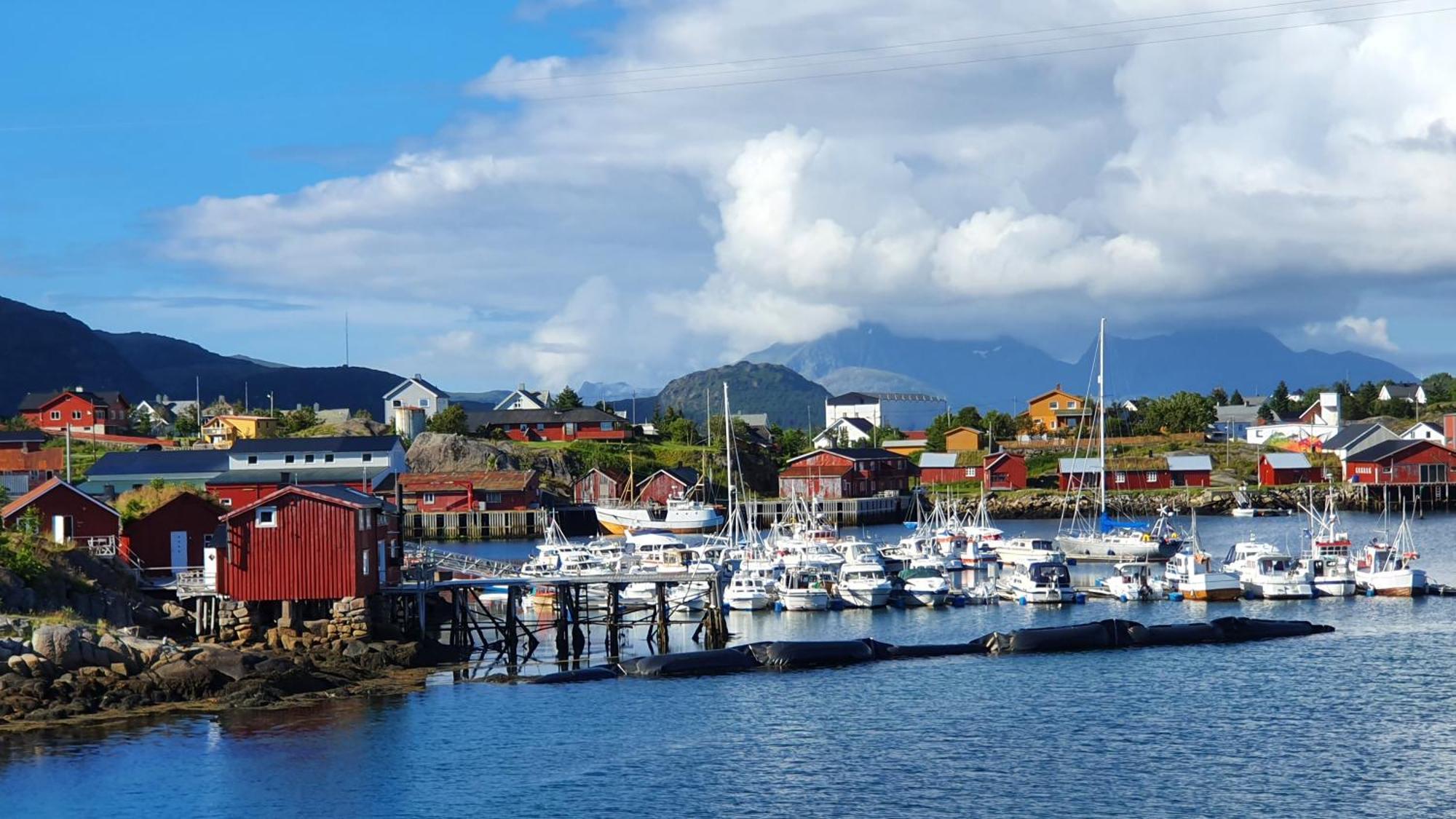 Lofoten Seaside Ballstad Bagian luar foto